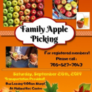 Apple Picking